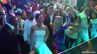 fucking group orgy party pornstar public wedding bride