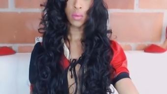 penis cock transsexual shemale