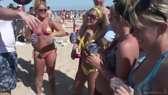 group orgy outdoor party public reality beach bikini amateur drunk